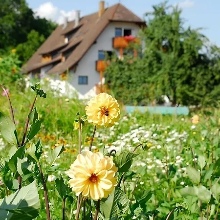 Mayer Burghoefe Owingen Exterior foto