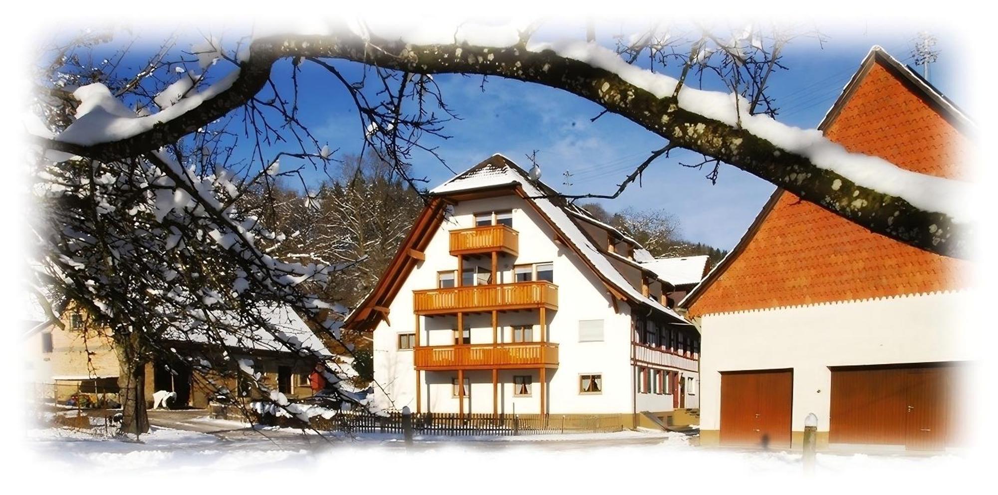 Ferienhaus Mayer Burghöfe